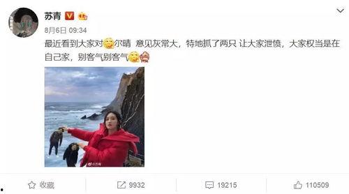 廷禧攻略21在线视频,宫廷风云再起，神秘人物浮出水面