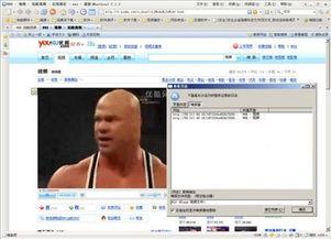 在线视频下载liulanqi,利用浏览器插件实现在线视频一键保存