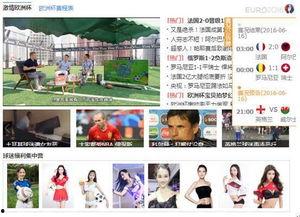 在线视频下载liulanqi,利用浏览器插件实现在线视频一键保存