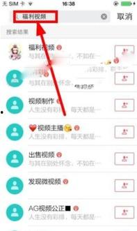 久久啪啪手机在线视频,手机在线视频平台的魅力与争议