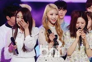 加勒比视频公开在线视频,揭秘海上冒险的奇幻之旅